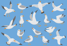 Atlantic White Seabird Fly At Sky. Beach Seagull At Quay. Sea Birds, Gull Cartoon Vector Illustration