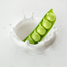 Green Pea Falls Into Milk, Yoghurt, Sour Cream, Splash