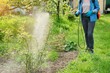 © Valerii Honcharuk - Woman with backpack garden spray gun under pressure handling bushes roses
