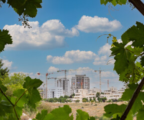 Modiin, Israel, May 21, 2022. View through the vine of the construction of a large new residential area overlooking a green park with trees and a lawn next to residential buildings. Quality photo