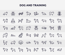 Dog And Training Outline Icons Set. Thin Line Icons Such As Bernese Mountain, Scold The Dog, Chihuahua, Bichon, Toyger Cat, Sheltie, Sad Dog, Collie, Greyhound Icon.