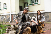 Military Father Meeting With Daughter And Dogs