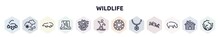 Wildlife Outline Icons Set. Thin Line Icons Such As Hibernation, Blizzard, Mole, Waterfall, Coral, Snowboard, Snowflakes, Pendant, Hippo Icon.