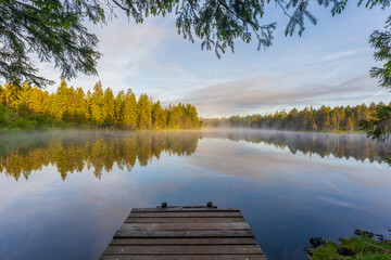 Wall Mural - lake and forest swiss jura