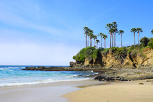Palm Trees Lining The Sandy Shores Of Laguna Beach, California, USA