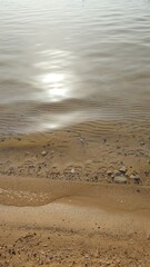 Wall Mural - waves on the beach