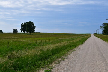 Canvas Print - Gravel Road by a Field