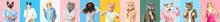 Set Of Cute Cats With Human Bodies On Colorful Background