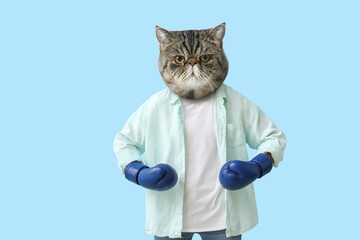 Funny exotic shorthair cat with human body in boxing gloves on light blue background