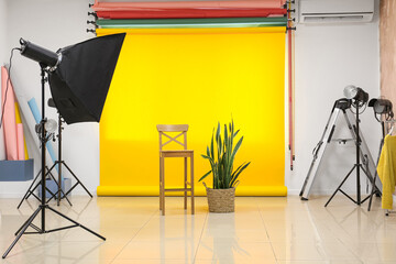 Wall Mural - Lighting equipment, chair, houseplant and cyclorama in modern photo studio