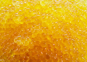 Pike caviar or roe close up picture. Food background.