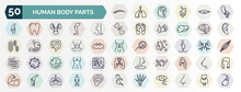Set Of Human Body Parts Web Icons In Outline Style. Thin Line Icons Such As Human Eyebrow, Blood Vessel, Tiptoe Feet, Brain Body Organ, Human Neck, Woman Pregnant, Basophil, Masculine Chromosomes,