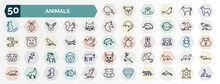 Set Of Animals Web Icons In Outline Style. Thin Line Icons Such As Kiwi Bird, Musk, Lynx, Vulture, Grasshopper, Ferret, Gazelle, Stingray, Coyote, Clam Icon.