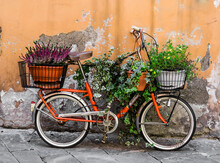 A Creative Design Idea Is An Old Bicycle With A Basket Of Flowers Against The Wall. City Streets Decorations