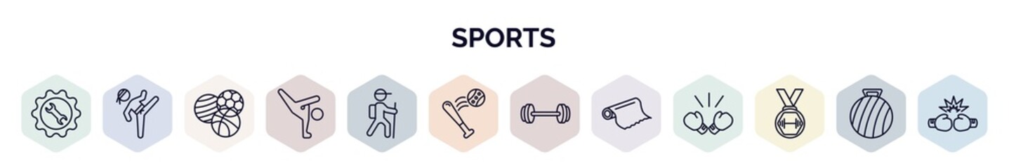 set of sports web icons in outline style. thin line icons such as equipment, taekwondo, balls, capoeira, trekking, home run, gym weight, foil, weight lifting medal icon.