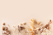 Leinwandbild Motiv Dry natural grass, leaves and flowers beauty and fashion concept mock up