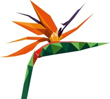 Bird Of Paradise Flower Plant In Low Poly Polygon Design. Vector Logo Illustration