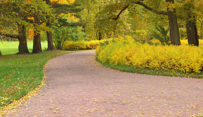 Wall Mural - landscape with path between yellow trees