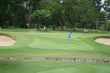 Wall Mural - golfer on the green