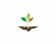 Nature plant logo design vector