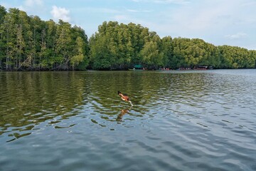 Wall Mural - child on the lake