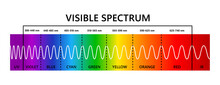 Visible Light Spectrum, Infared And Ultraviolet. Optical Light Wavelength. Electromagnetic Visible Color Spectrum For Human Eye. Gradient Diagram. Educational Vector Illustration On White Background.