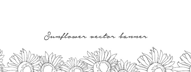 Banner with sunflowers. Simple line vector art