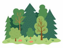 Vector Forest Landscape. Environment Friendly Concept With Trees, Flowers And Bushes. Ecological Or Outdoor Camping Illustration. Cute Earth Day Scene With Plants.
