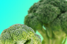 Digital Synthesis Creative Image Of Green Broccoli With Green Background