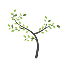 Tree Branch Vector Ilustration Design Template