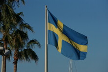 Bandiera Della Svezia, Croce Scandinava Gialla Su Sfondo Blu, Fotografata Su Un Panorama Con Cielo Azzurro E Palme Al Vento