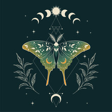 Green Vector Illustration Of Moon Moth. For Print For T-shirts And Bags, Decor Element. Mystical And Magical, Astrology Illustration