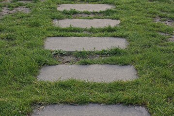 Poster - old gray concrete steps in the green grass outdoors in the park