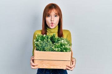 Wall Mural - Redhead young woman holding wooden plant pot making fish face with mouth and squinting eyes, crazy and comical.