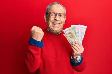 Canvas Print - Handsome senior man with grey hair holding united arab emirates dirham banknotes screaming proud, celebrating victory and success very excited with raised arm