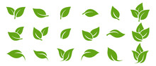 Green Leaf Icons Set. Leaves Icon On Isolated Background. Collection Green Leaf. Elements Design For Natural, Eco, Vegan, Bio Labels. Vector Illustration EPS 10