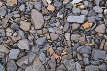 Aufkleber - wet sea pebble stone background. grey, white and brown colors. top view