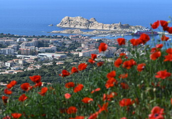 Poster - corse..l'île rousse