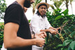 © BullRun - Balinese male owner of agriculture business explaining concept of caffeine growing at branch to travel visitors, group of men and woman spending daytime at rice fields with paddy cultivation