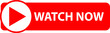 watch now button on white background. play video icon. watch now video play button sign. flat style.