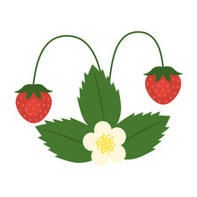 Wild Red Strawberry With Green Leaves Isolated On White Background. Fragaria Vesca, Woodland Strawberry, Alpine Strawberry Or European Strawberry Icon. Vector Berries Illustration In Flat Style.