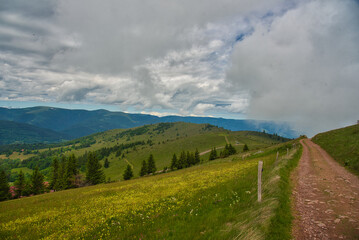 Wall Mural - Landschaft auf dem Petit Ballon in den Vogesen in Frankreich