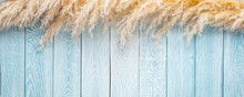 Pampas Grass On Blue With White Painted Planks Texture Background