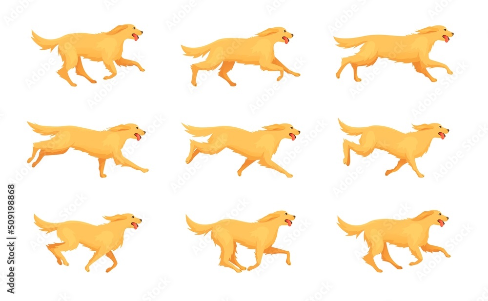 Retriever running animation. Cartoon dog run, motion sequence step 2d ...