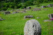 © FarukPhotography - The old medieval necropolis called Stecci in Central Bosnia. Medieval tombstone called Stecak near the town of Novi Travnik. Necropolis called Maculje in the heart of Bosnia and Herzegovina.