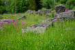 © FarukPhotography - The old medieval necropolis called Stecci in Central Bosnia. Medieval tombstone called Stecak near the town of Novi Travnik. Necropolis called Maculje in the heart of Bosnia and Herzegovina.