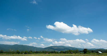 Wall Mural - the white clouds have a quaint and rural shape. the sky is cloudy and blue