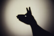 Shadow of a hand from the night light of a flashlight on a white wall. Dark silhouette of a man hands from the light of a lamp