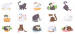Funny childish cats set. Fluffy cartoon kittens isolated. Cute kitty playing, sleeping, eating