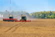 © Андрей Прилуцкий - Combine harvester harvests ripe wheat on sunny summer day. Harvesting of wheat by combine harvesters in agricultural field on summer day.
